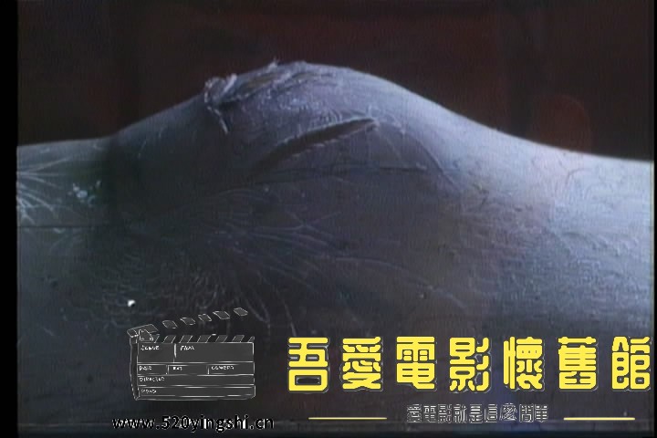 碟一[00_18_31][20210803-000440-6].JPG