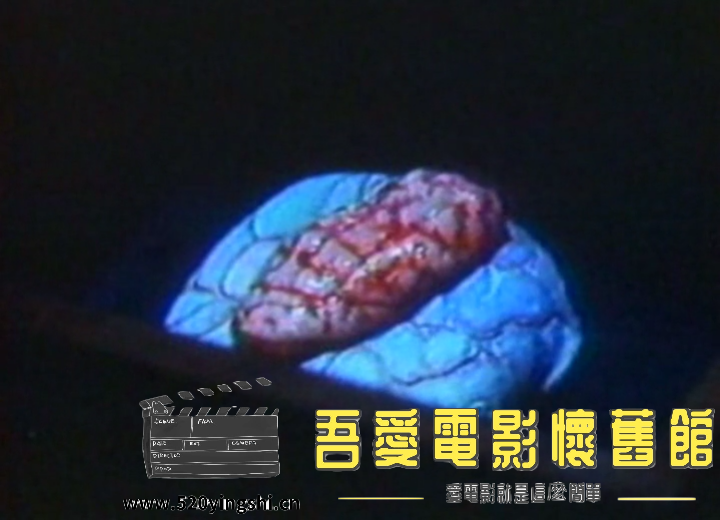 脑魔VHS 粤语中字-Sile[00_10_15][20201112-103610-3].PNG