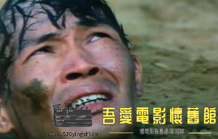 最后一口气DAT 国粤语中字-[00_29_49][20211214-145355-1].PNG
