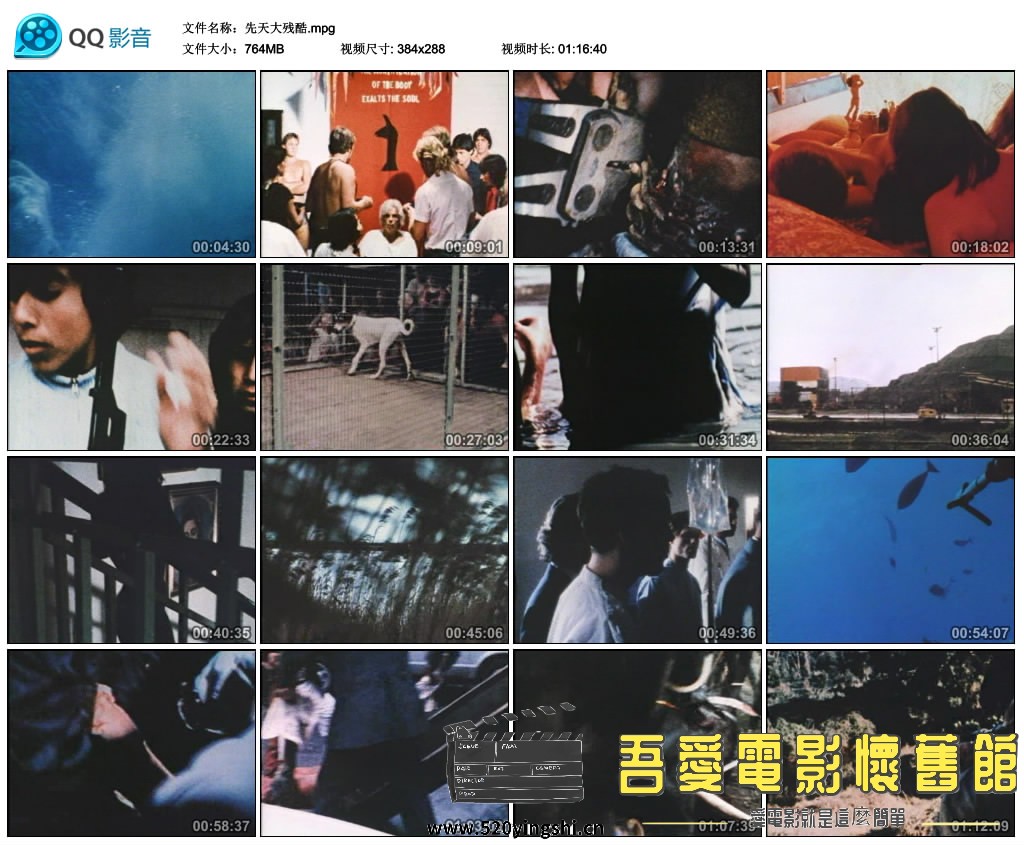 先天大残酷.mpg_thumbs_2022.03.02.00_38_21.jpg