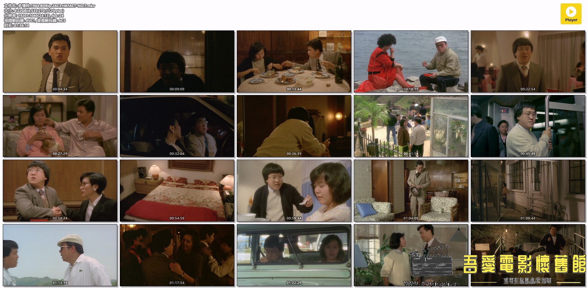 多情种.1984.BDRip.2AC3.HKFACT-NO.7.mkv.jpg