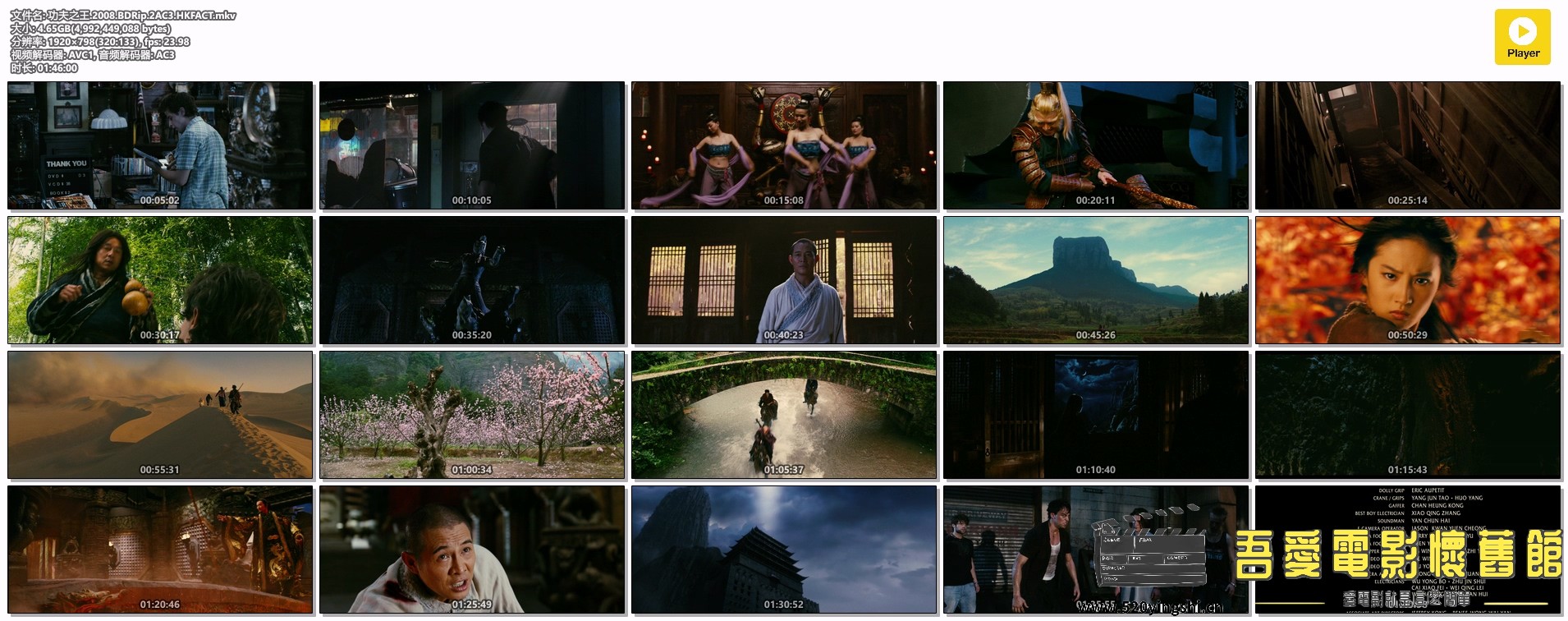 功夫之王.2008.BDRip.2AC3.HKFACT.mkv.jpg