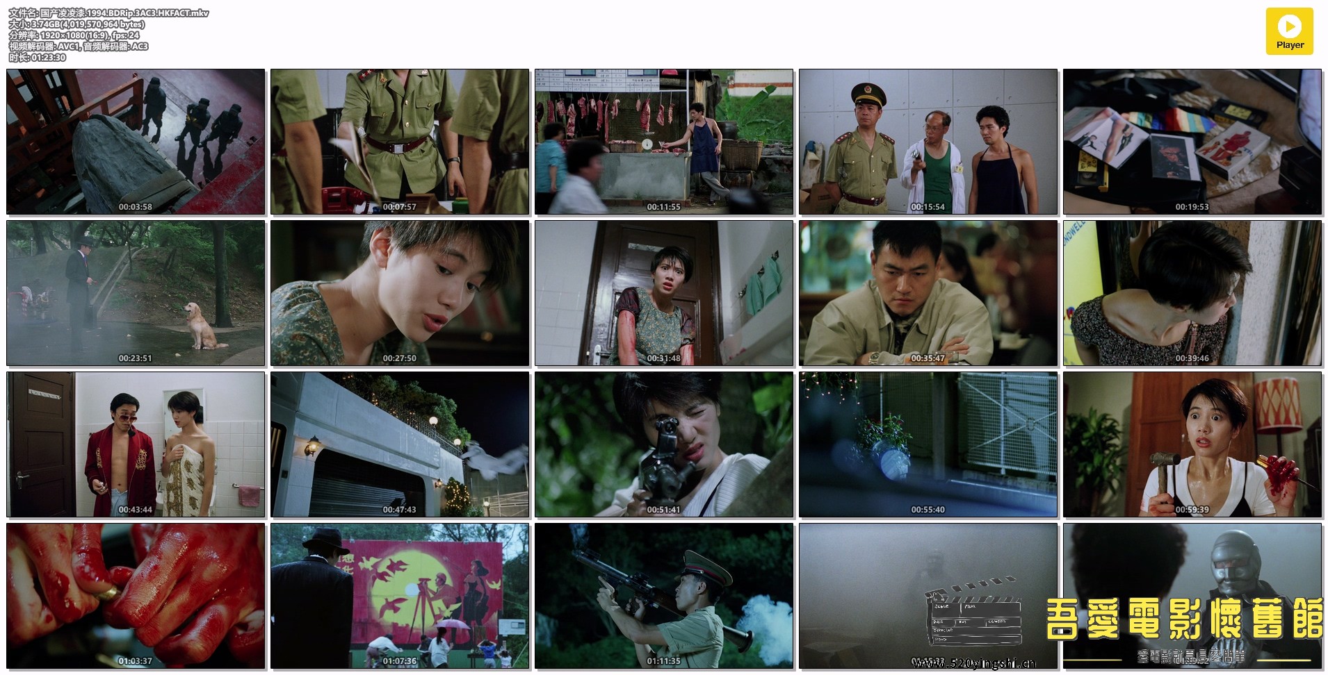 国产凌凌漆.1994.BDRip.3AC3.HKFACT.mkv.jpg