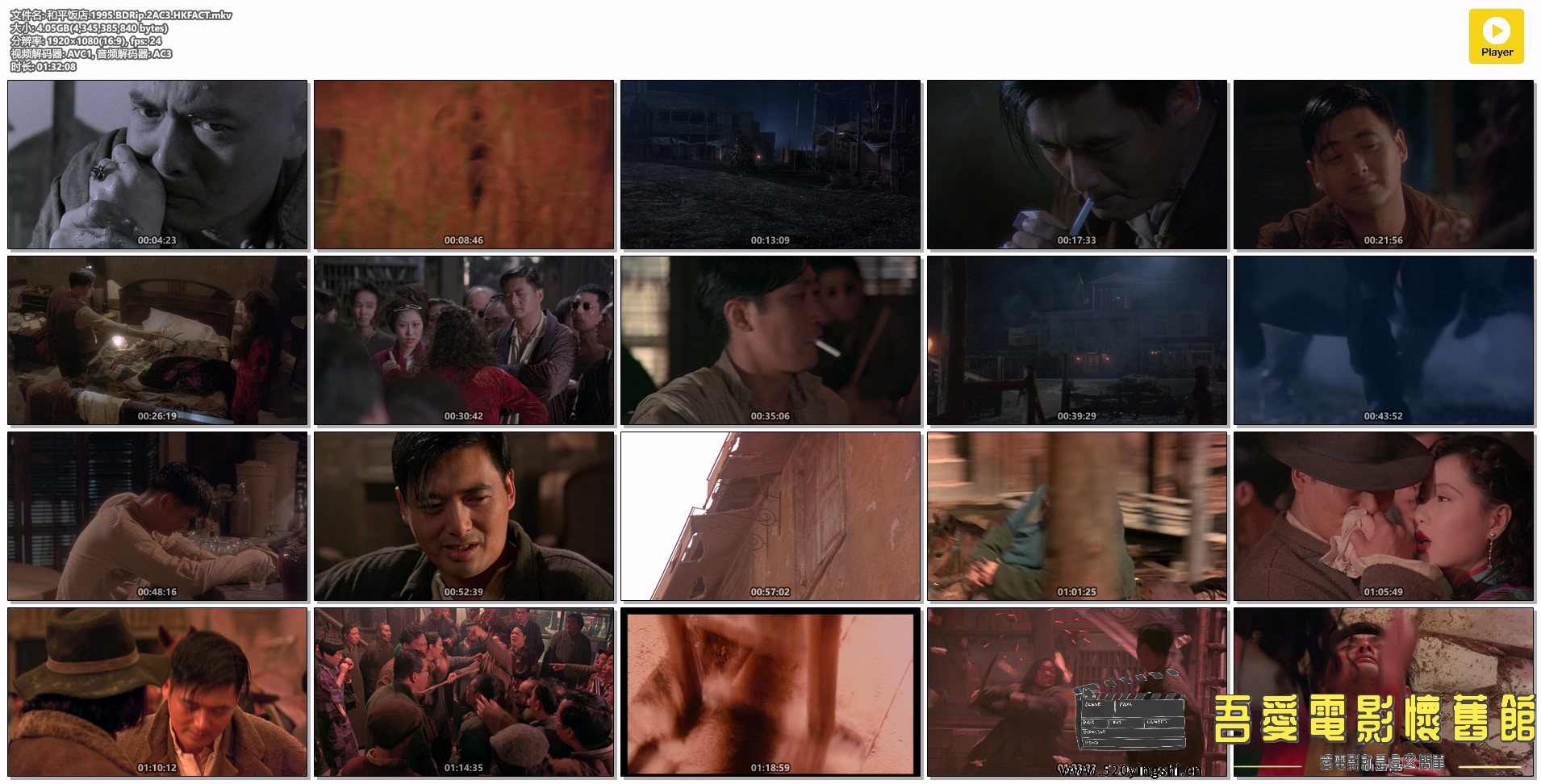 和平饭店.1995.BDRip.2AC3.HKFACT.mkv.jpg