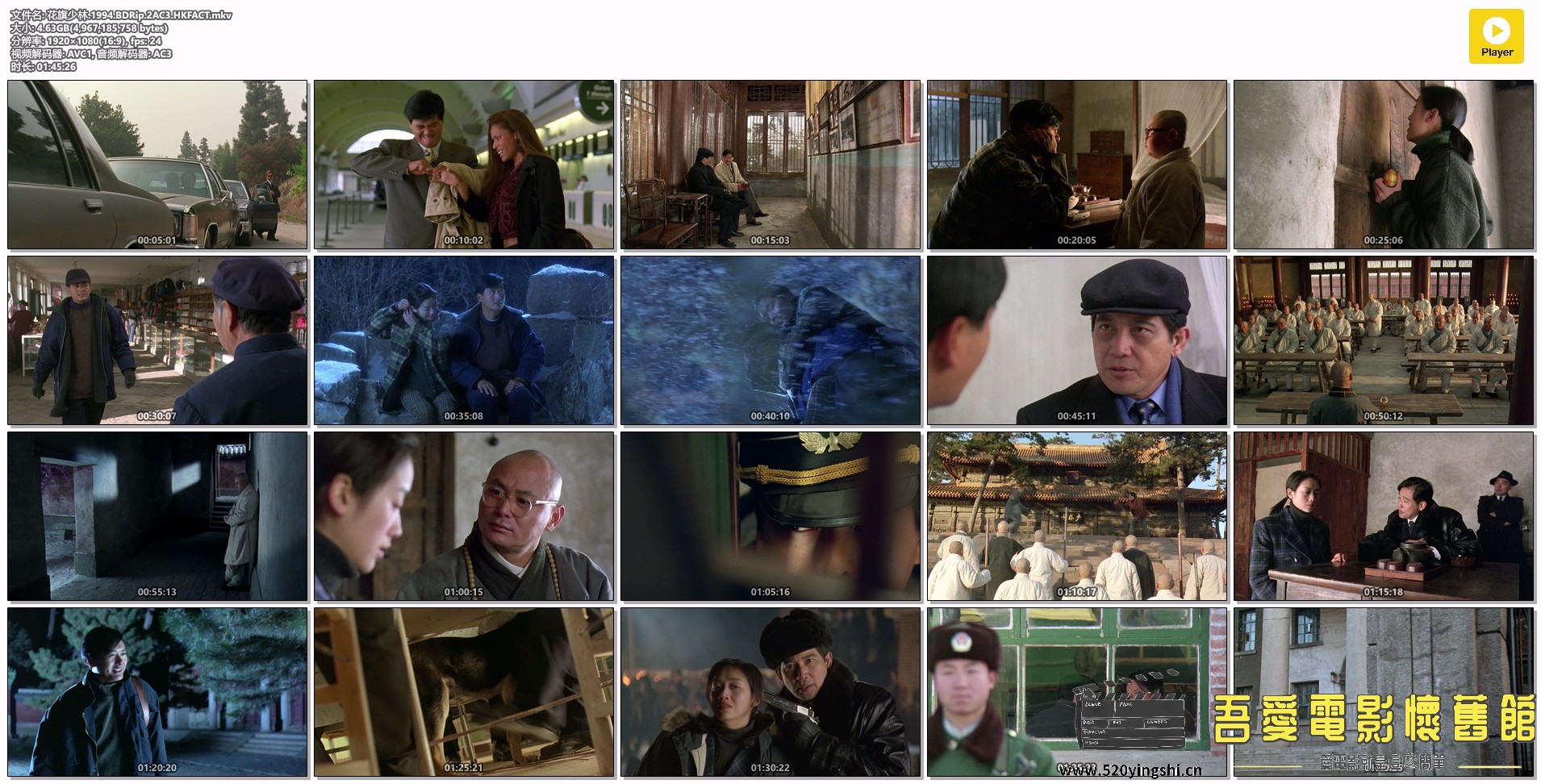 花旗少林.1994.BDRip.2AC3.HKFACT.mkv.jpg