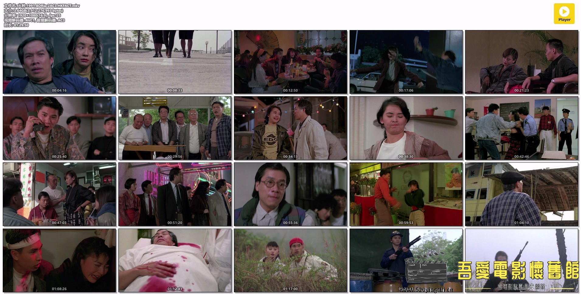 火种.1991.BDRip.2AC3.HKFACT.mkv.jpg