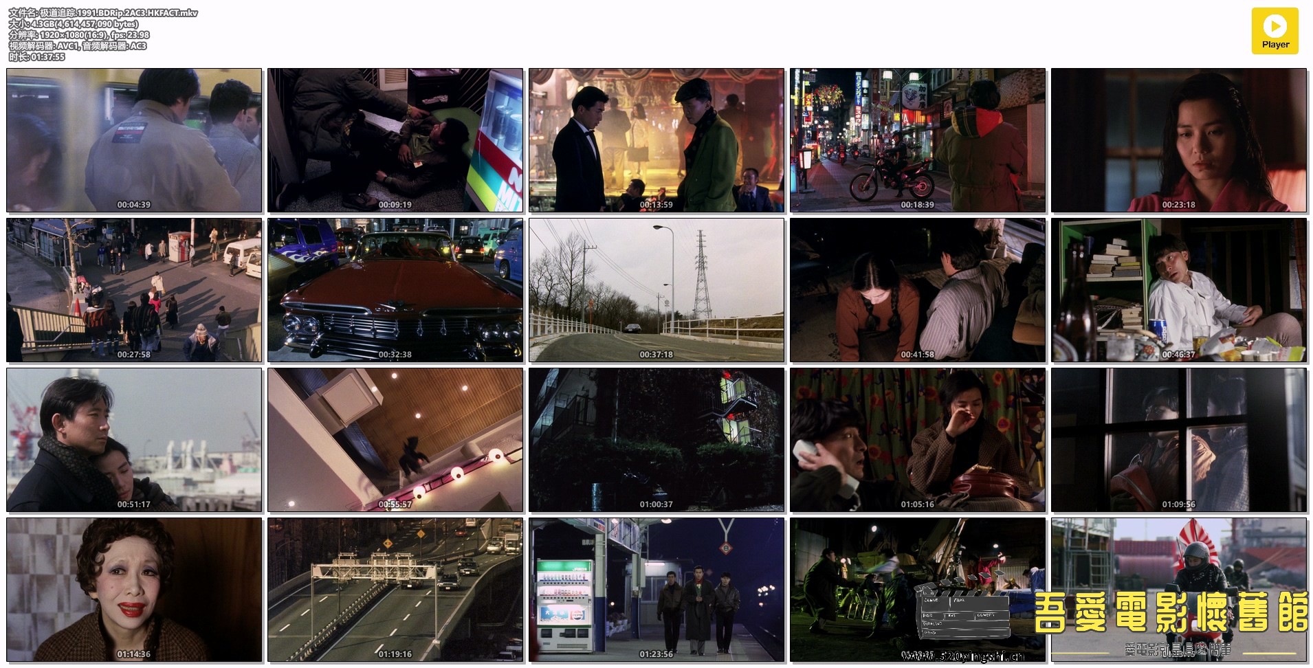 极道追踪.1991.BDRip.2AC3.HKFACT.mkv.jpg