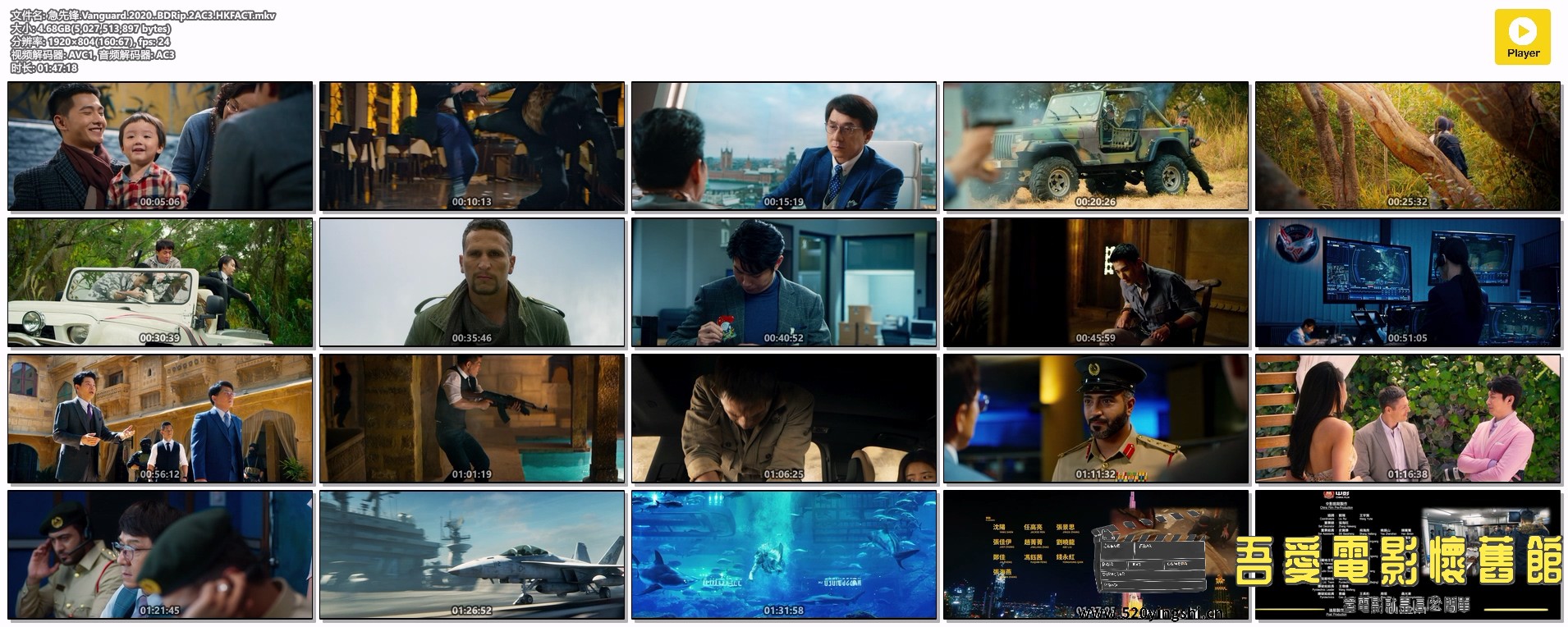 急先锋.Vanguard.2020..BDRip.2AC3.HKFACT.mkv.jpg