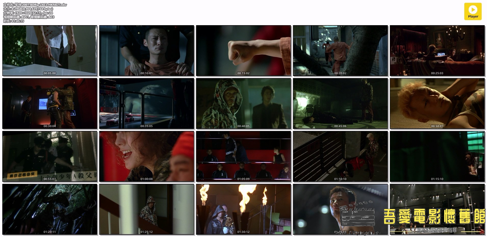 军鸡.2007.BDRip.2AC3.HKFACT.mkv.jpg