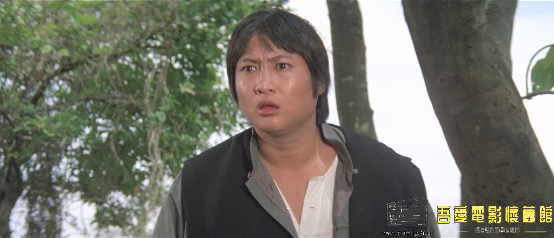 老虎田鸡.1978.BDRip.2AC3.HKFACT.mkv_20221230_210416.219.jpg