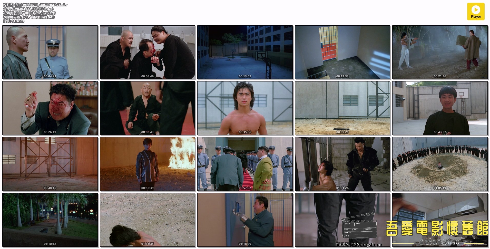力王.1991.BDRip.3AC3.HKFACT.mkv.jpg
