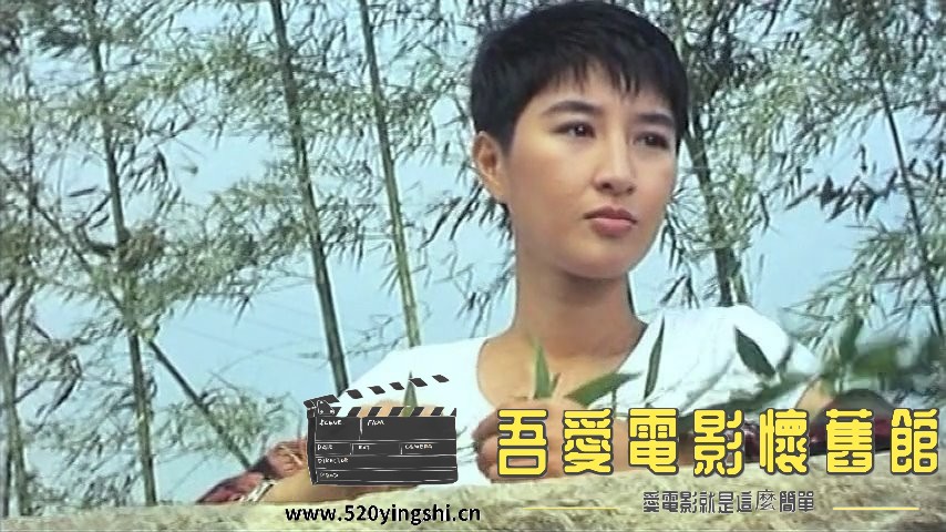 青蜂侠.1994.DVDRip.2AC3.国粤语无字.mkv_snapshot_00.55.09_[2022.12.31_18.06.04].jpg