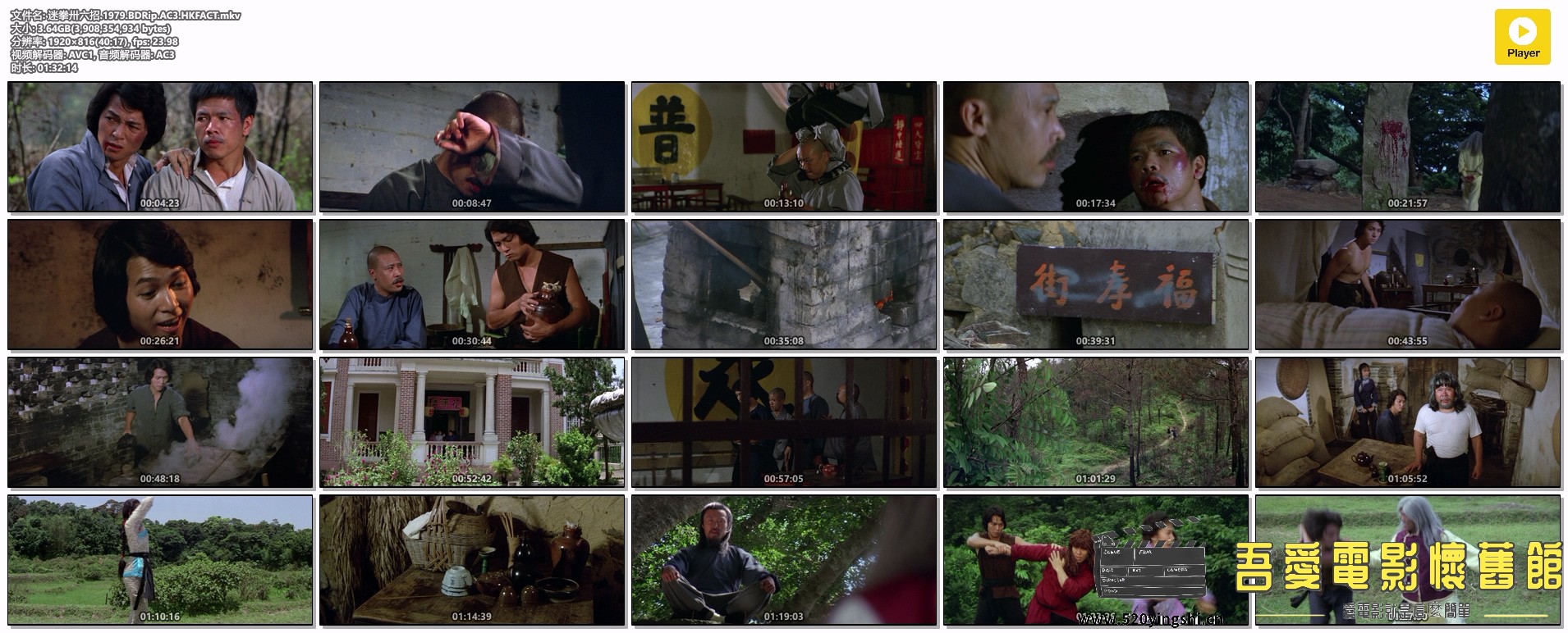迷拳卅六招.1979.BDRip.AC3.HKFACT.mkv.jpg