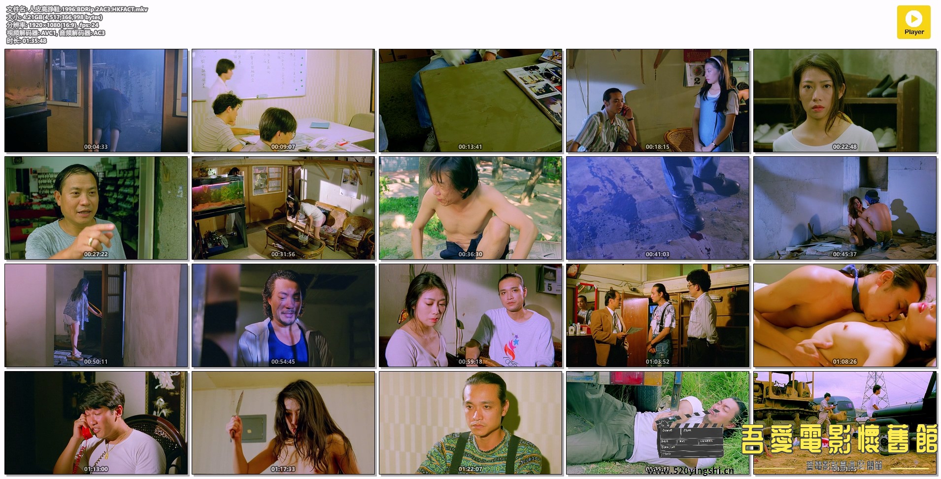 人皮高踭鞋.1996.BDRip.2AC3.HKFACT.mkv.jpg