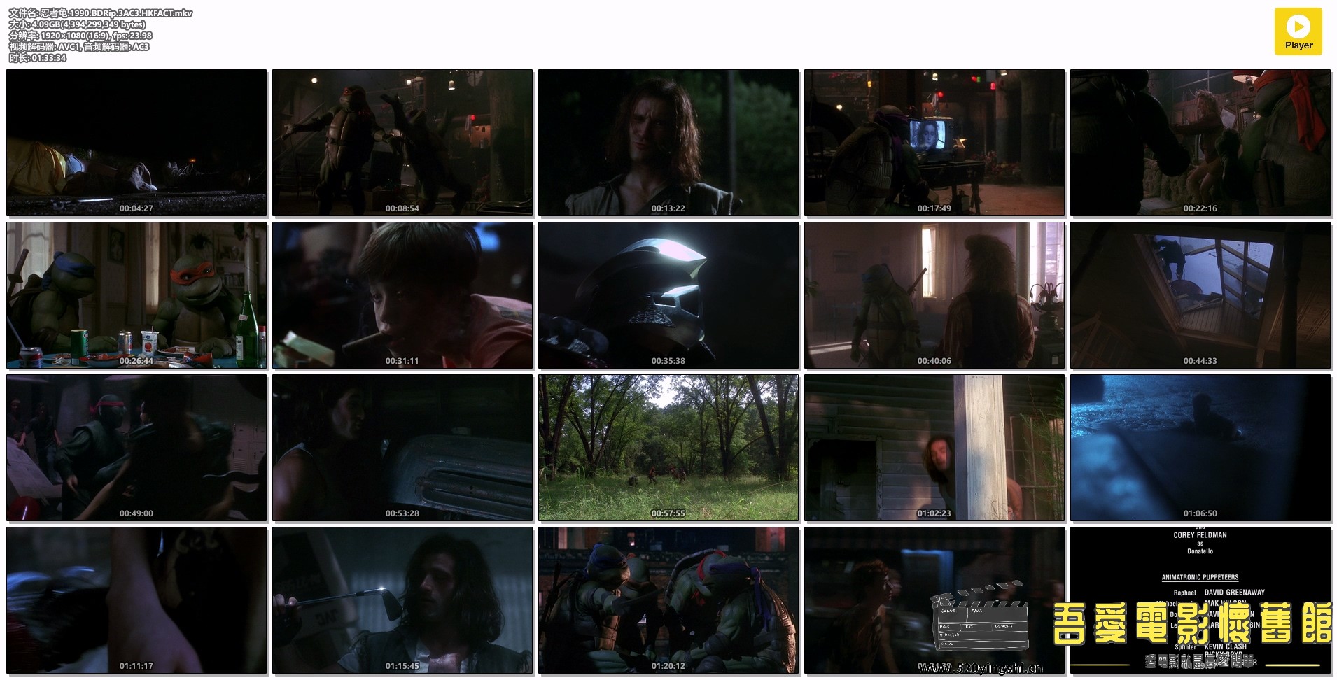 忍者龟.1990.BDRip.3AC3.HKFACT.mkv.jpg