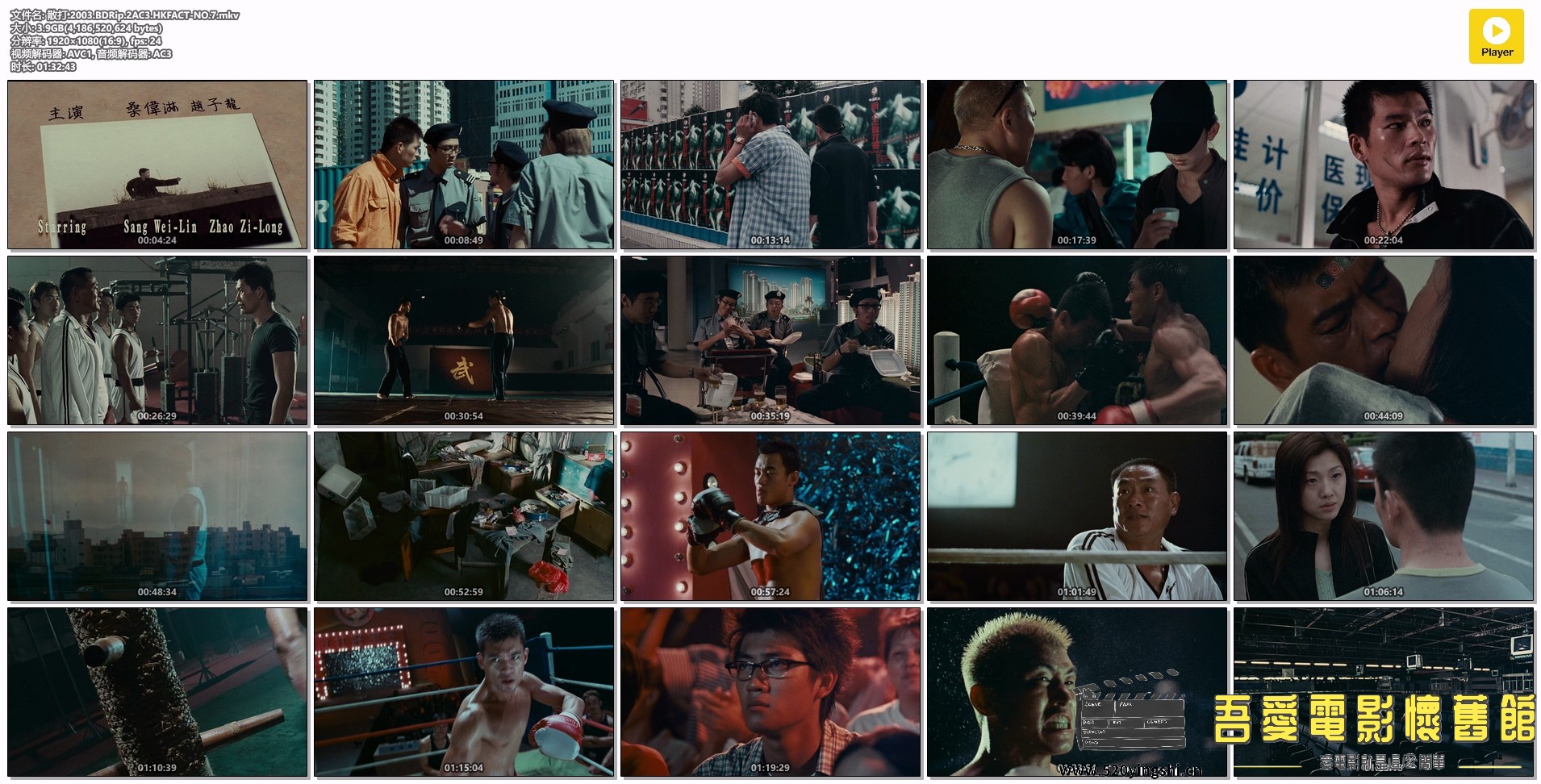 散打.2003.BDRip.2AC3.HKFACT-NO.7.mkv.jpg