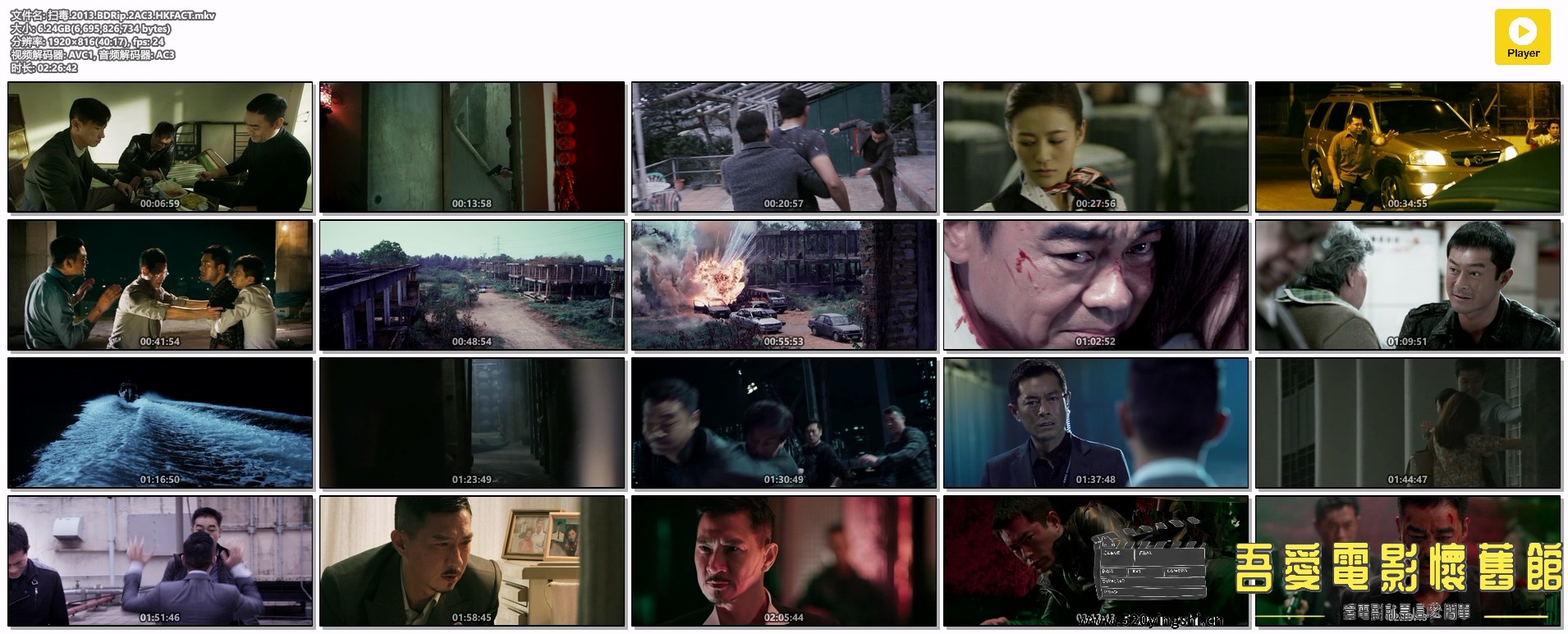 扫毒.2013.BDRip.2AC3.HKFACT.mkv.jpg