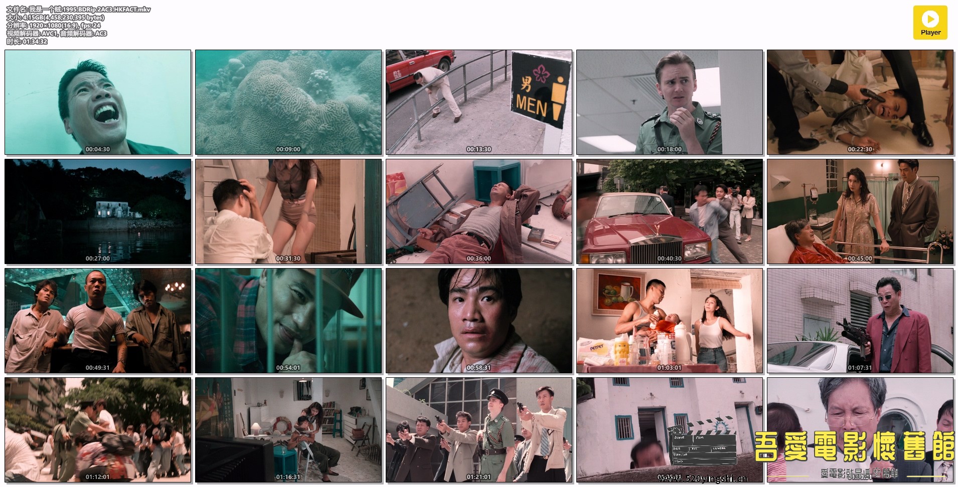 我是一个贼.1995.BDRip.2AC3.HKFACT.mkv.jpg
