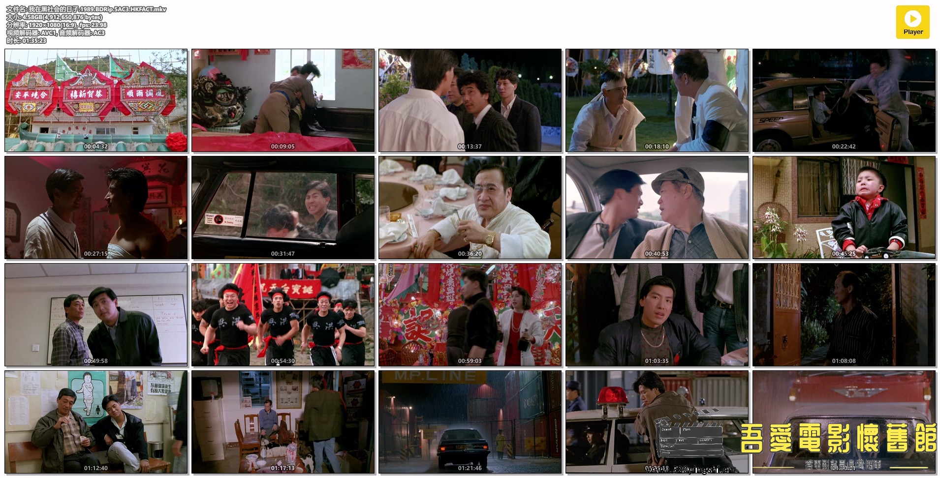 我在黑社会的日子.1989.BDRip.5AC3.HKFACT.mkv.jpg