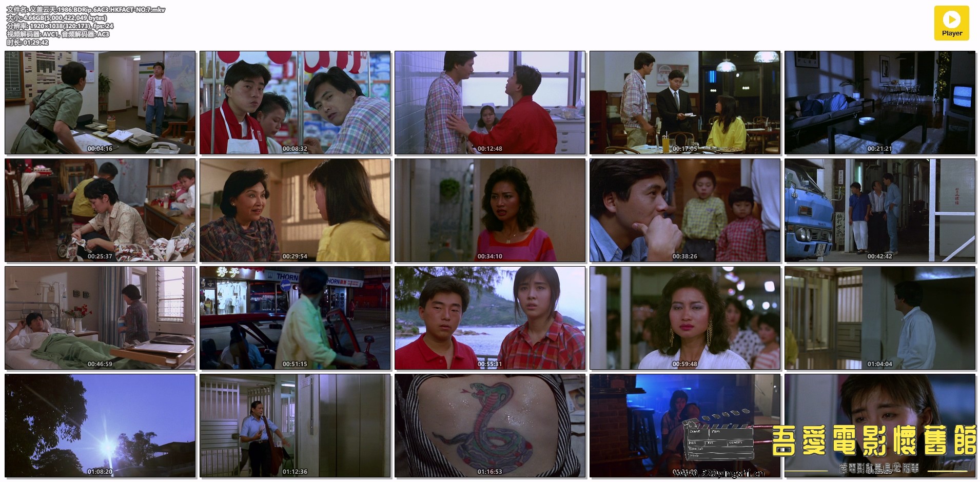 义盖云天.1986.BDRip.6AC3.HKFACT-NO.7.mkv.jpg