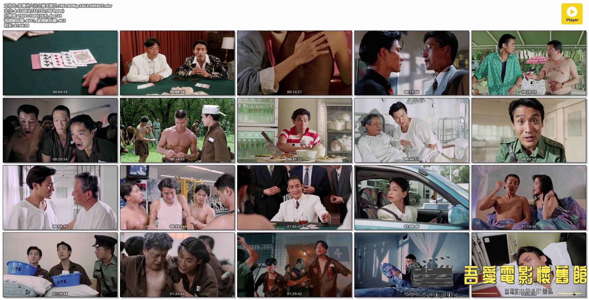 至尊卅六计之偷天换日.1993.BDRip.2AC3.HKFACT.mkv.jpg