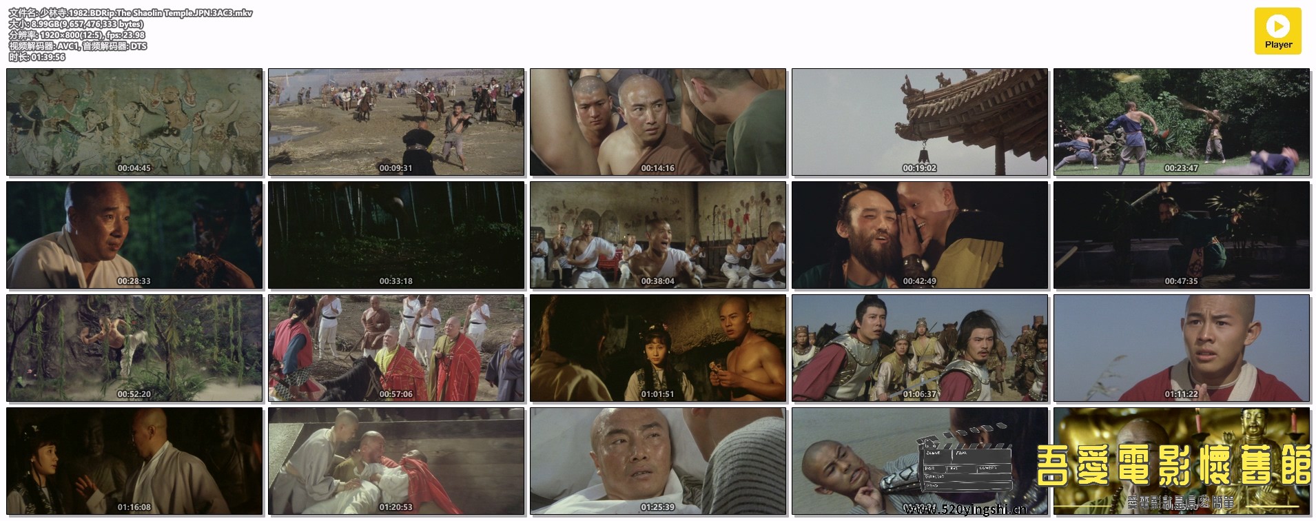 少林寺.1982.BDRip.The Shaolin Temple.JPN.3AC3.mkv.jpg