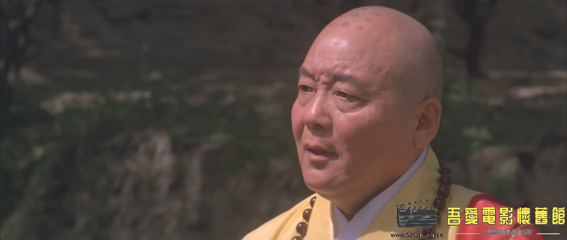 南北少林.1986.BDRip.Martial Arts of Shaolin.JPN.2AC3.mkv_20230101_235907.869.jpg