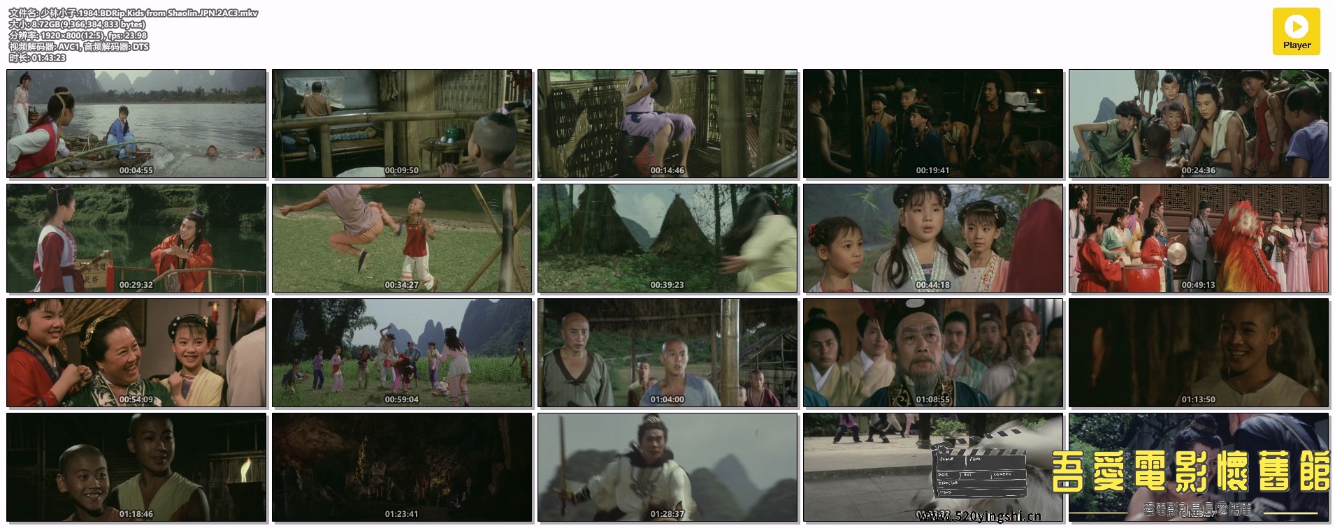 少林小子.1984.BDRip.Kids from Shaolin.JPN.2AC3.mkv.jpg