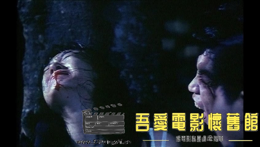 血玫瑰(完整版).1988.DVDRip.2AC3.国粤语中字.mkv_snapshot_00.09.05_[2023.01.02_19.04.21].jpg