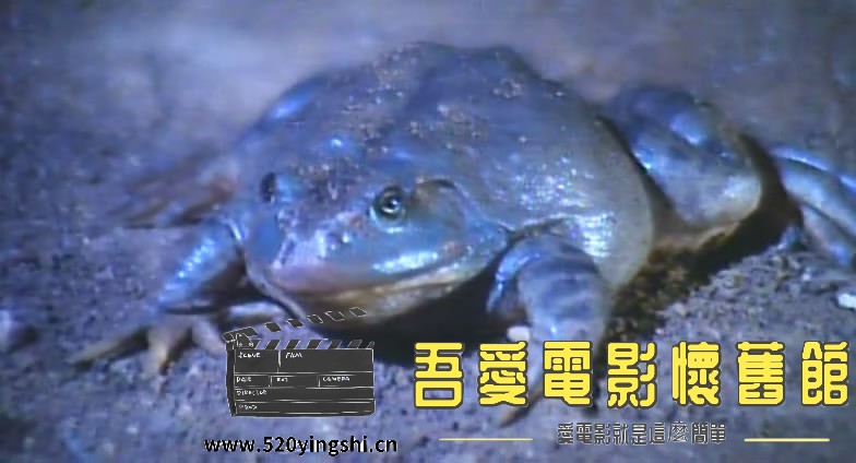 尸蛊艳谭LD 国粤语中字-Si[01_28_07][20170120-142900-7].JPG