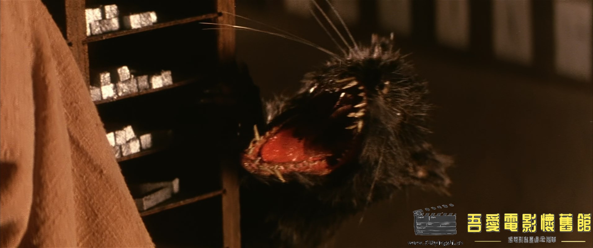 冒险王.1996.BluRay.1080p.x265.10bit.2AC3.国粤语中英字.mkv_snapshot_00.43.10.685_.jpg