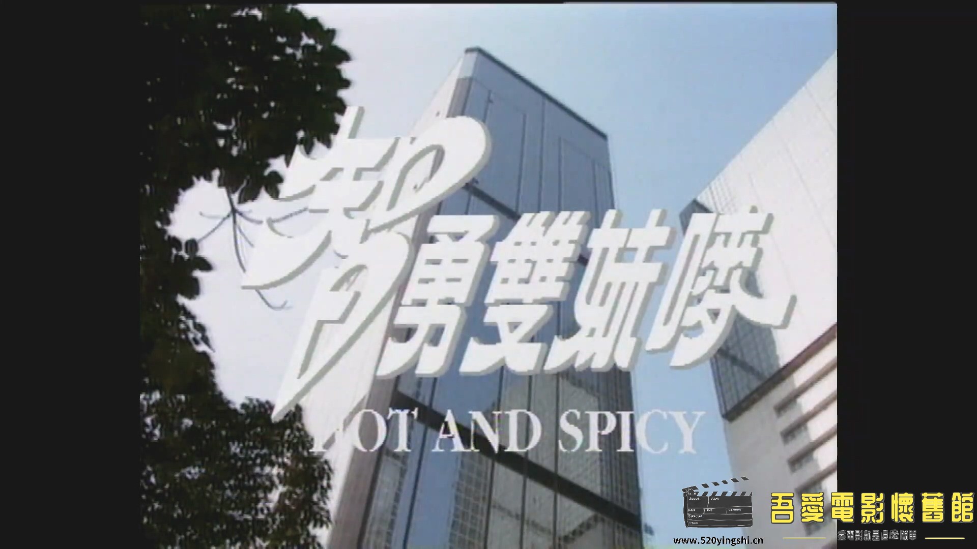 [百度网盘][1992][智勇双妹唛][尹扬明、梅小惠、陈法蓉][国粤语简硬中字][MKV、2.46G].jpg