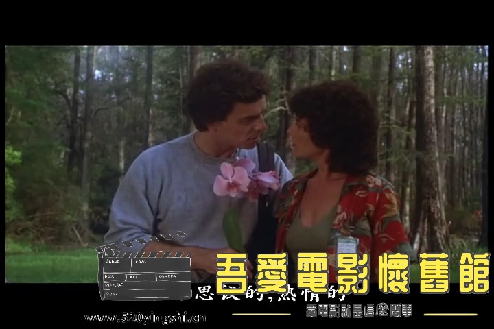 沼泽怪物 Swamp Thing (1982) DVDRip x264 AC3.mkv_snapshot_00.12.19.632_[2023.01.0.jpg