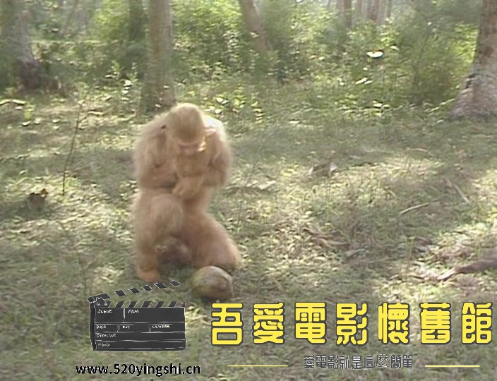 西游记.E01.1986.DVDRip.x264.AC3-CMCT.mkv_20230112_002513.537.jpg