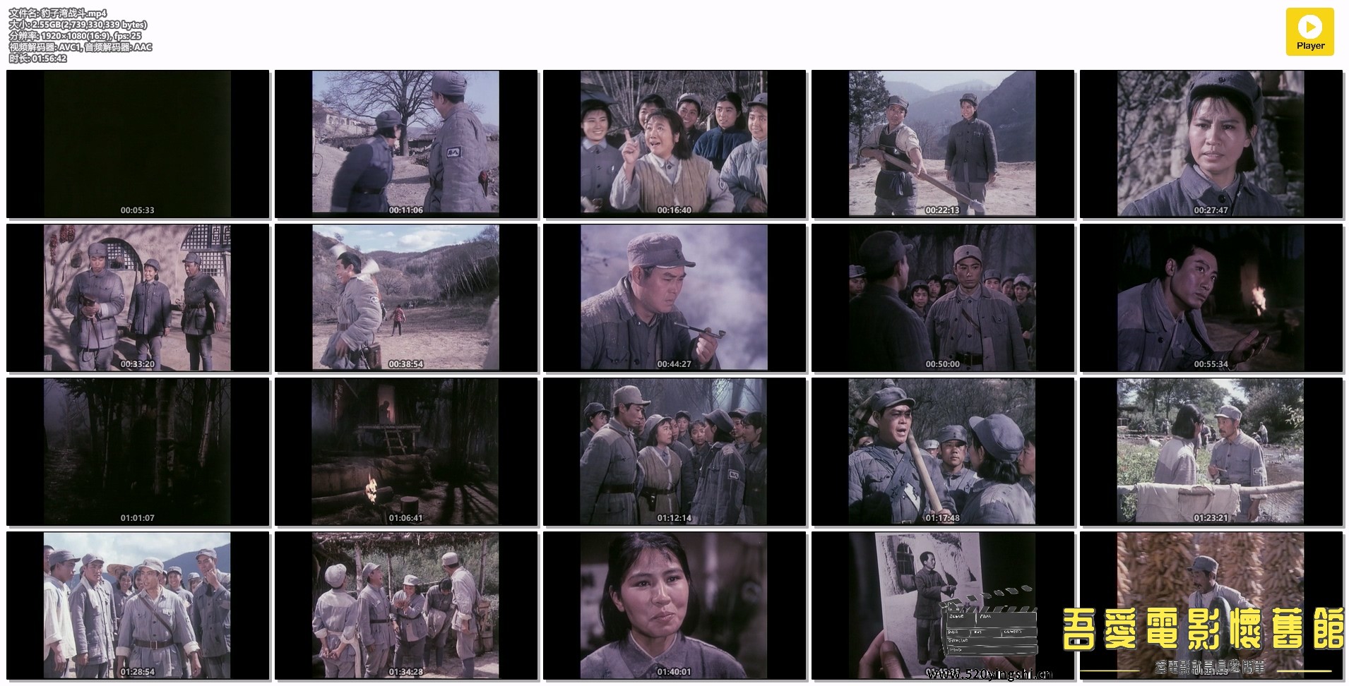 豹子湾战斗.mp4.jpg