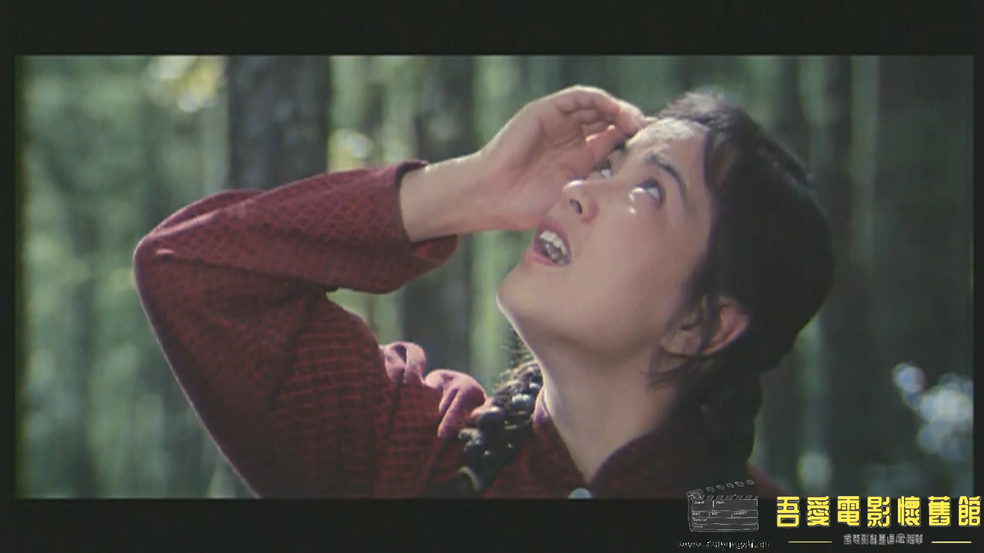 北国红豆.mp4_20230105_122733.236.jpg