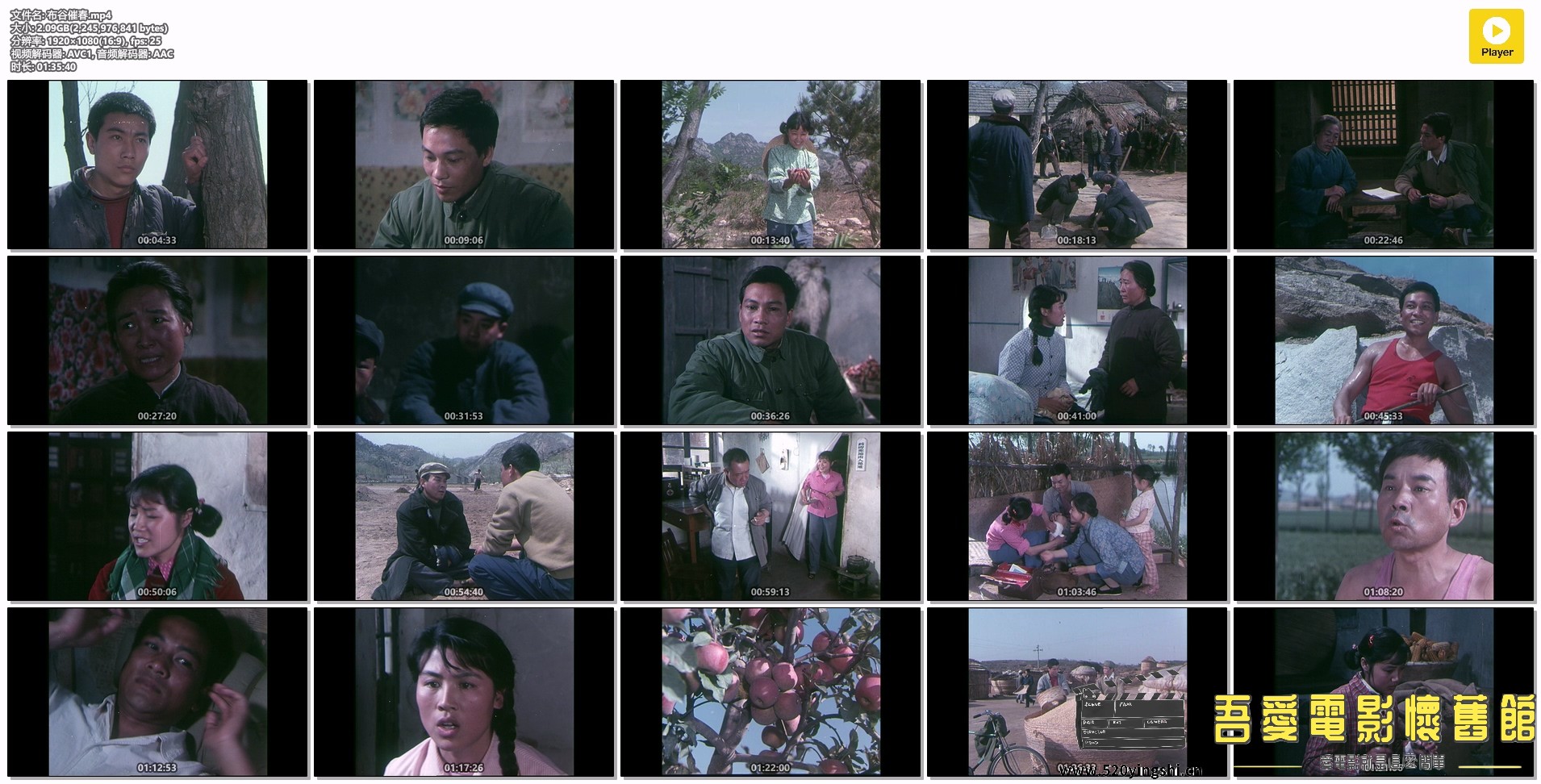 布谷催春.mp4.jpg