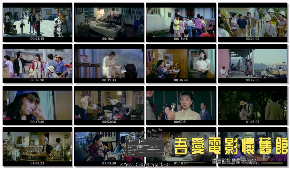 就是溜溜的她.1980.BDRip.Lovable You.FRA.AC3.mkv.jpg