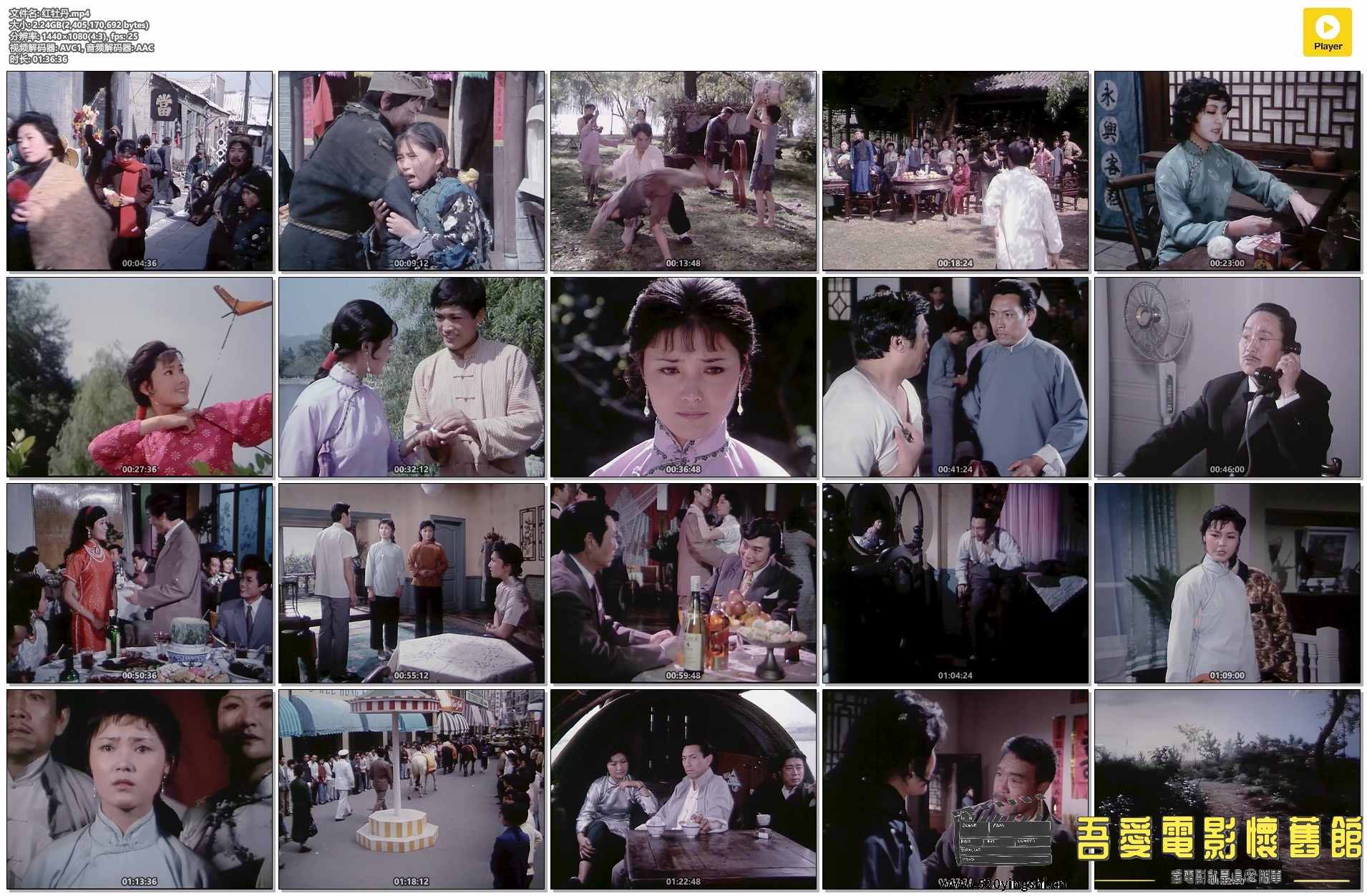 红牡丹.mp4.jpg