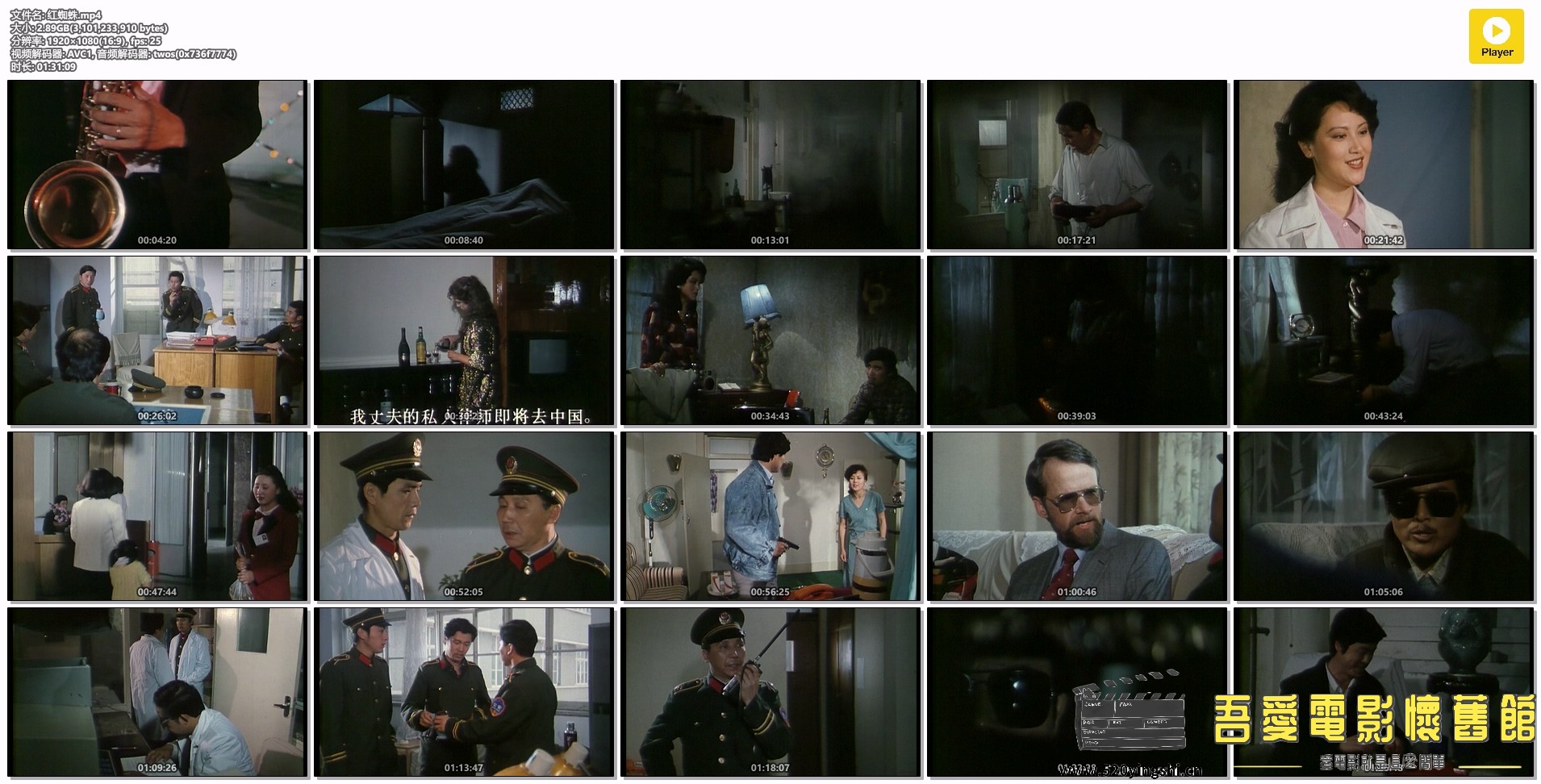 红蜘蛛.mp4.jpg