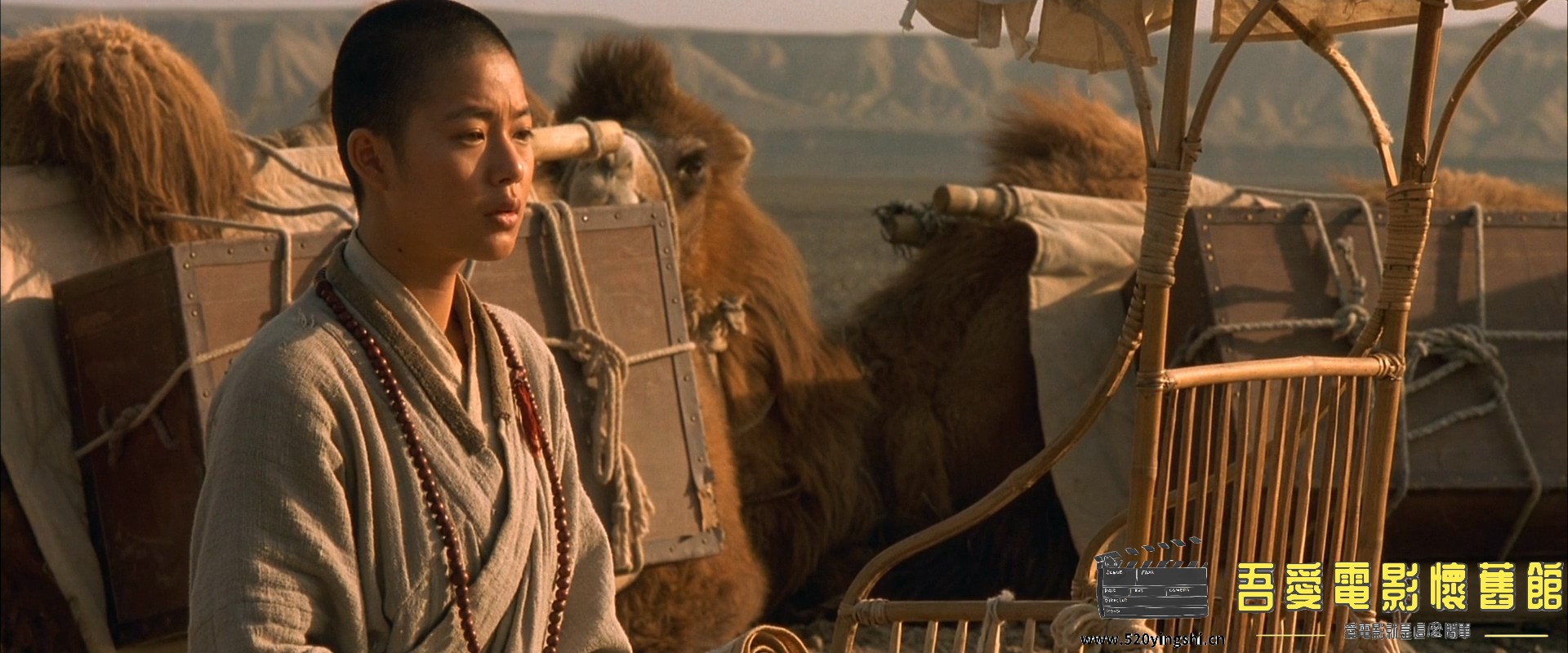 天地英雄.2003.BDRip.Warriors of Heaven and Earth.USA.AC3.mkv_20230225_103548.551.jpg