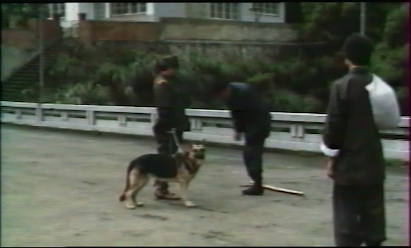 法语版DVD5原盘81分04秒.png