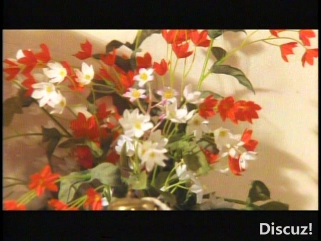 欲焰狂情亮点版开头.jpg
