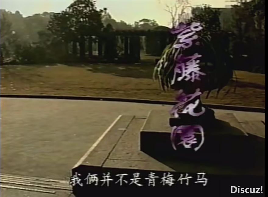 2025-02-13_043450.png