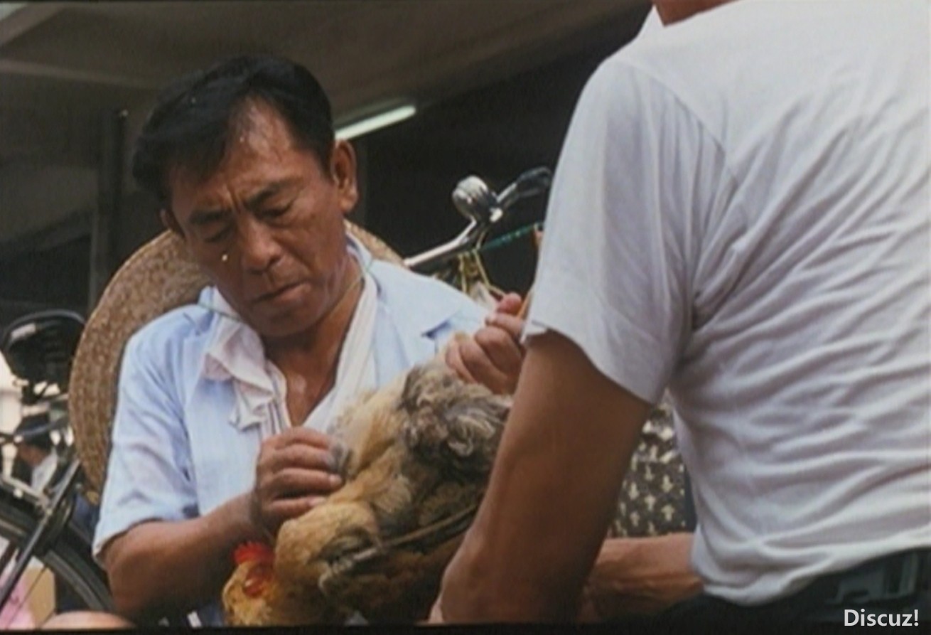 捕不不不获.jpg