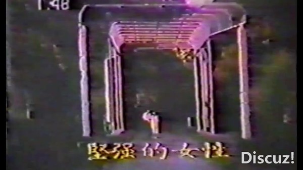 花心大少 VHS-DVD_20250725_221637.603.jpg
