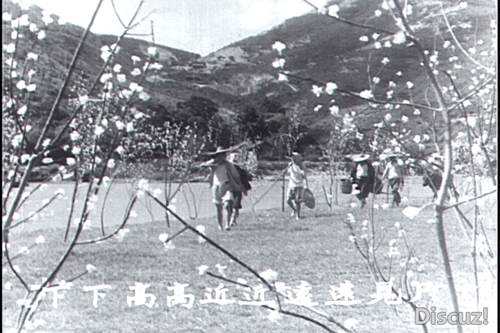 桃花江1956[00_03_56][20260128-123145].png