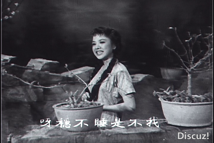 桃花江1956[00_32_32][20260128-123505].png