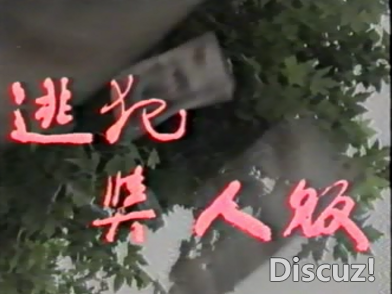 2026-07-21_023256.png